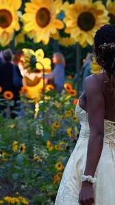 Light up your summer plans with Starry Nights, featuring cocktails, live music, and an illuminated drone show! | New York Botanical Garden | Facebook