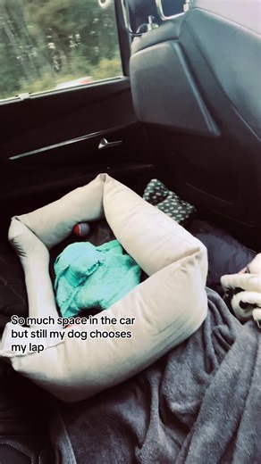 relatable sur TikTok