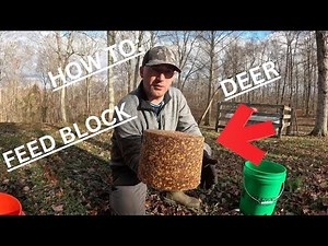How to Make the BEST DIY Deer Feed Blocks