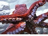 6.4K views · 185 reactions | Jan Brett on Reels | Facebook