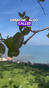 4K views · 57 reactions | Are you planning a trip to Lake Garda? Then...