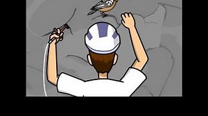 BrainPOP - National Parks