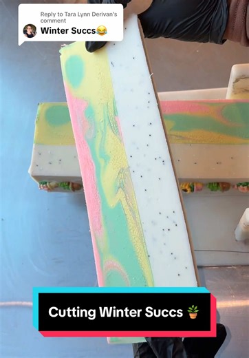 Cutting Winter Succs Soap: A Delightful Experience