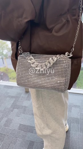 Silver upgraded large-capacity bag#coachbag #crossbodybag #everydaybag #klarecrossbody #fyp#bagcollection#baboontothemoon #fannypack #crossbodybag #bags