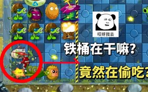 PVZ2:这是什么造型啊？被逼无奈的铁桶都去偷吃了？