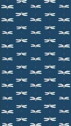 “Pencil Drawing Pattern | Blue Aesthetic ✨ Dragonflies, Birds & Cats with Flowers | ei