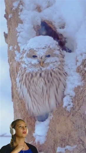 My clothes are thick, I'm not afraid of the cold.