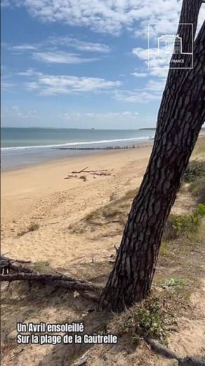 Un avril ensoleillé sur la plage de la Gautrelle (Île d’Oleron)