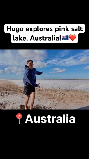 Hugo explores pink lake!🇦🇺❤️#fyp #pinksaltlake #roadtrip #van #vanlife #travel #explore #viral