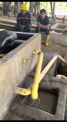 Gold Ore Beneficiation Process | Complete Gold Processing Solution