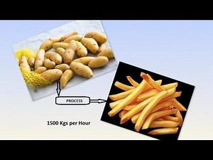 Frozen French Fries Processing Line | 1500 kg/hr Capacity | Potato to Fries | Procon Ventures | Nitin M Aras