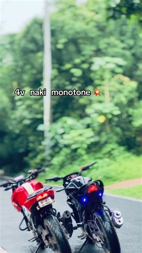 Gixxer Monotone RTR4V 4V Naki Monotone — Quick Breakdown