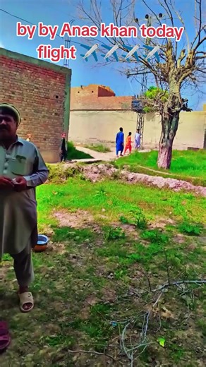 Exploring the Cultures of Tajiks, Hazaras, Uzbeks, Pashtuns, and Turkmen