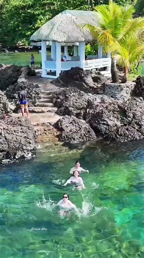 REAL STAR BEACH RESORT | REAL, QUEZON DRONE SHOT #travel #djiflip #beach #summertime