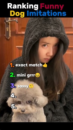 Funny dog videos #shorts #youtubeshorts #viral #funnydogvideos #cutedogs #usa #australia #uk