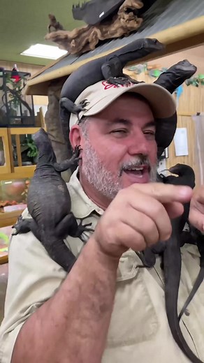 Hilarious Water Monitor Lizard Prank at a Party!