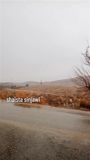 Discover Shaista Sinjawi's New Phasto Song