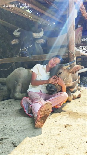 Record my rural cowherding life