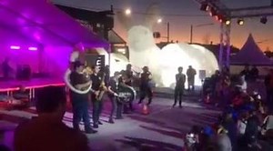 The Hot Potato Band live at #LiverpoolSAFest | Liverpool City Council Australia