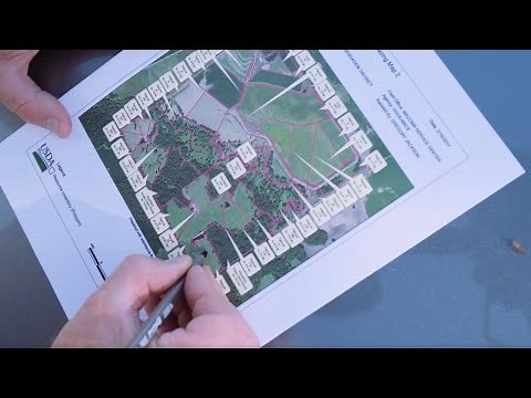 Adaptive Grazing 101: How to Strategically Graze Your Pastures