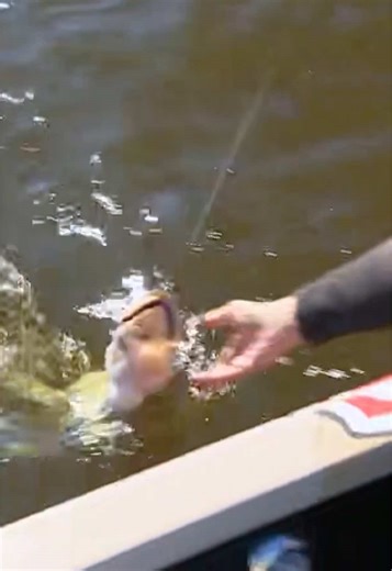 TW Pro Circuit Fishing Tournament Highlights