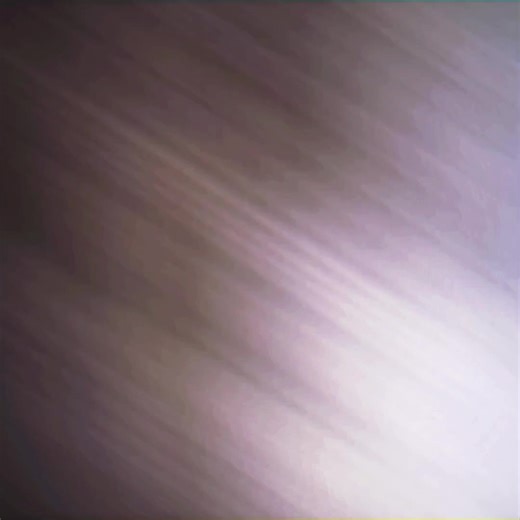 Shimo the Best: An Unforgettable Experience