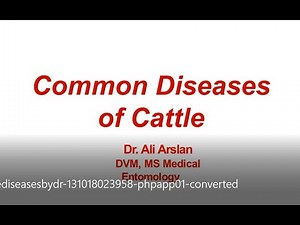 Pictorial Characteristics of Common Diseases of Cattle