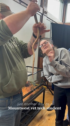 Welcome to exotic animals lab as a Mountwest vet tech student! We want to give a huge thanks to Zoology Zone Science Center for hosting and teaching our students about these amazing animals. 🐍🦎#ctc #vettech | Mountwest Community & Technical College