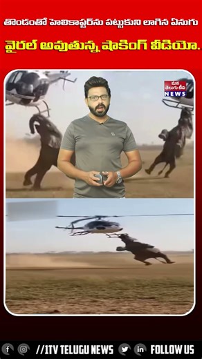 Shocking video of elephant dragging helicopter with its trunk goes viral