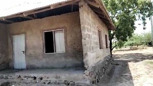 7 male, female teachers sharing one house cry for help