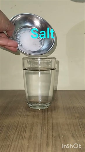 Why does lemon Float in salt water/ class 9th /NCERT/ Science Magic/Archemides Principle