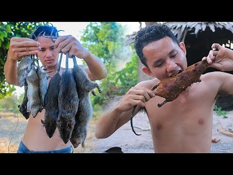 Primitive Technology: Find rat (mouse) in rice field - Grilled rat eating delicious