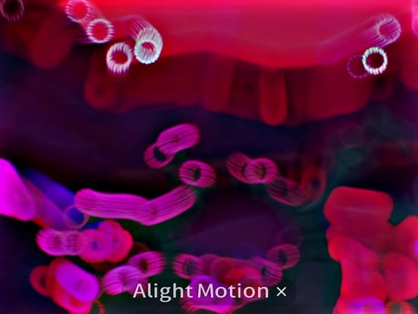 Animated Action Sequence with Colorful Turtles