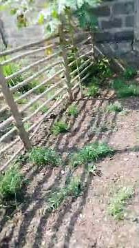 Comment construire une bergerie autonome et moderne