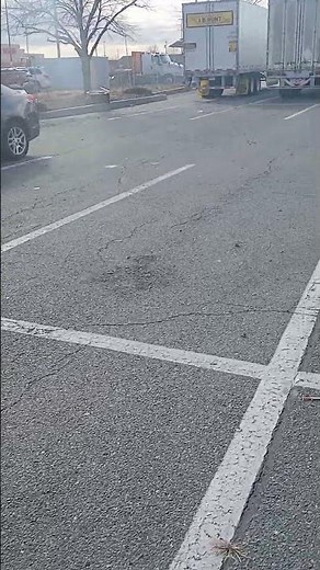 A Bluebird Vision school bus backing up