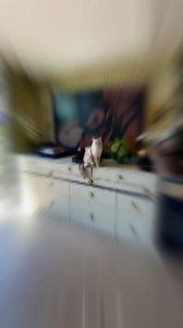 10K views · 116 reactions | Bar à leçon de maquillage  #maquillage #leçon #tutorial #makeup | Charlie en particulier | Facebook