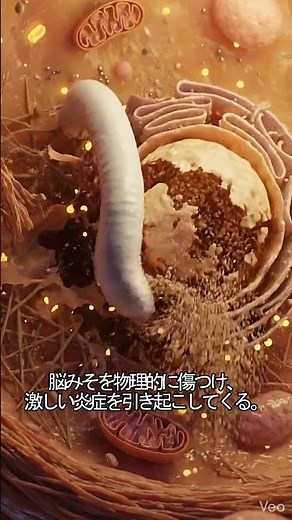 カタツムリのヌメヌメに潜む「脳を壊す」寄生虫
