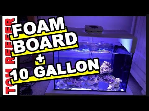 Reef Tank - DIY INTERNAL OVERFLOW BOX - FOR A $20, 10 GALLON BUDGET AQUARIUM