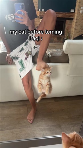 #fyp#viral | cat