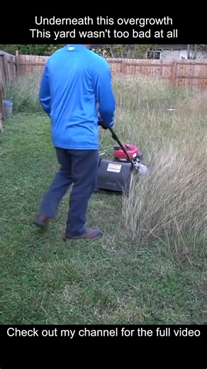 Overgrown Backyard #helping #lawncare #lawn