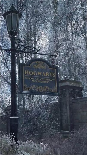 Harry Potter wallpapers #chill #livewallpaper #lofi
