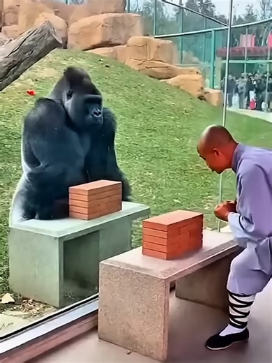 (1234) STONE CHOP TEST... Master Wins, Then NOPE - YouTube