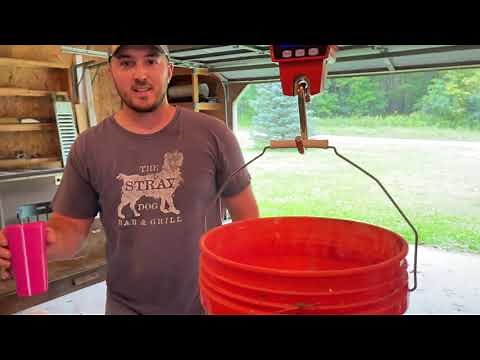 DIY Chicken Feed | How to Make Joel Salatin's Layer Ration