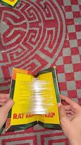 Kingtox Rat Killing Glue Trap | Complete Guide #youtubeshorts #youtube #ratklling