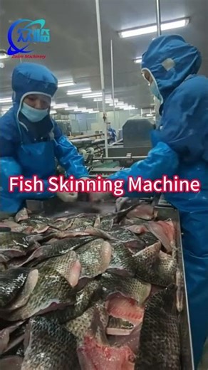Fish skinning machine, fish peeling machine, fish skinner, fish skin remover #fishprocessing