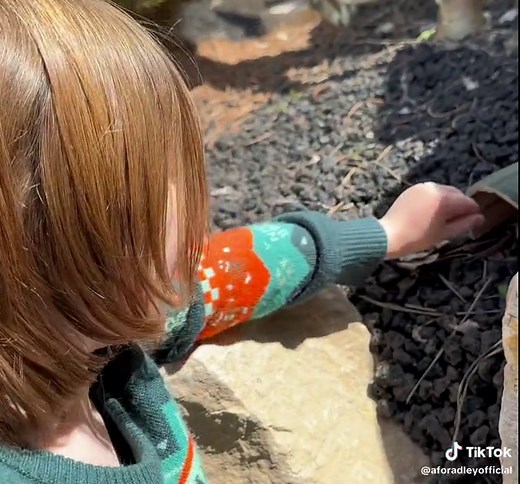 Easter Egg Hunting Adventure with A for Adley & Niko!