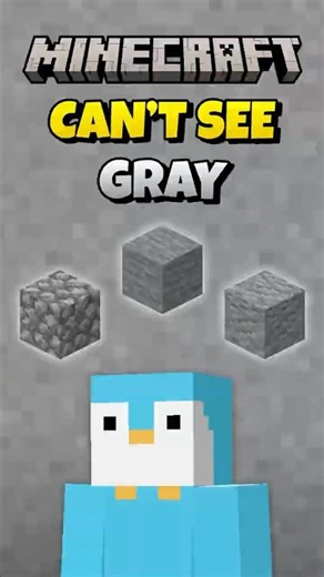 Minecraft, But I Can't See The Color Gray