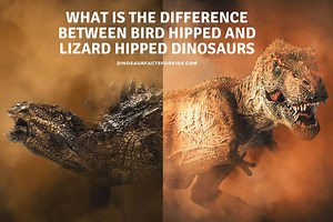 What Is The Difference Between Bird Hipped And Lizard Hipped Dinosaurs - Dinosaur Facts For Kids