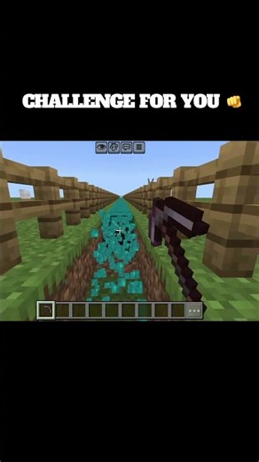 Minecraft impossible challenge 🫵🏻
