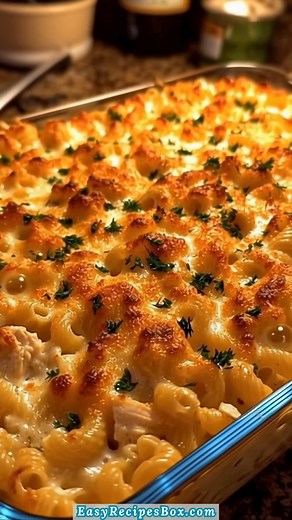 1.9K views · 12 reactions | Cheesy, creamy, and filled with love  This Paula Deen Chicken Casserole is everything a cozy family dinner should be, easy, comforting, and irresistibly delicious! #ComfortCasserole #FamilyDinner #CheesyGoodness | Easy Recipes Box | Facebook